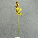 32" PHALAENOPSIS X9 SPRAY GREEN