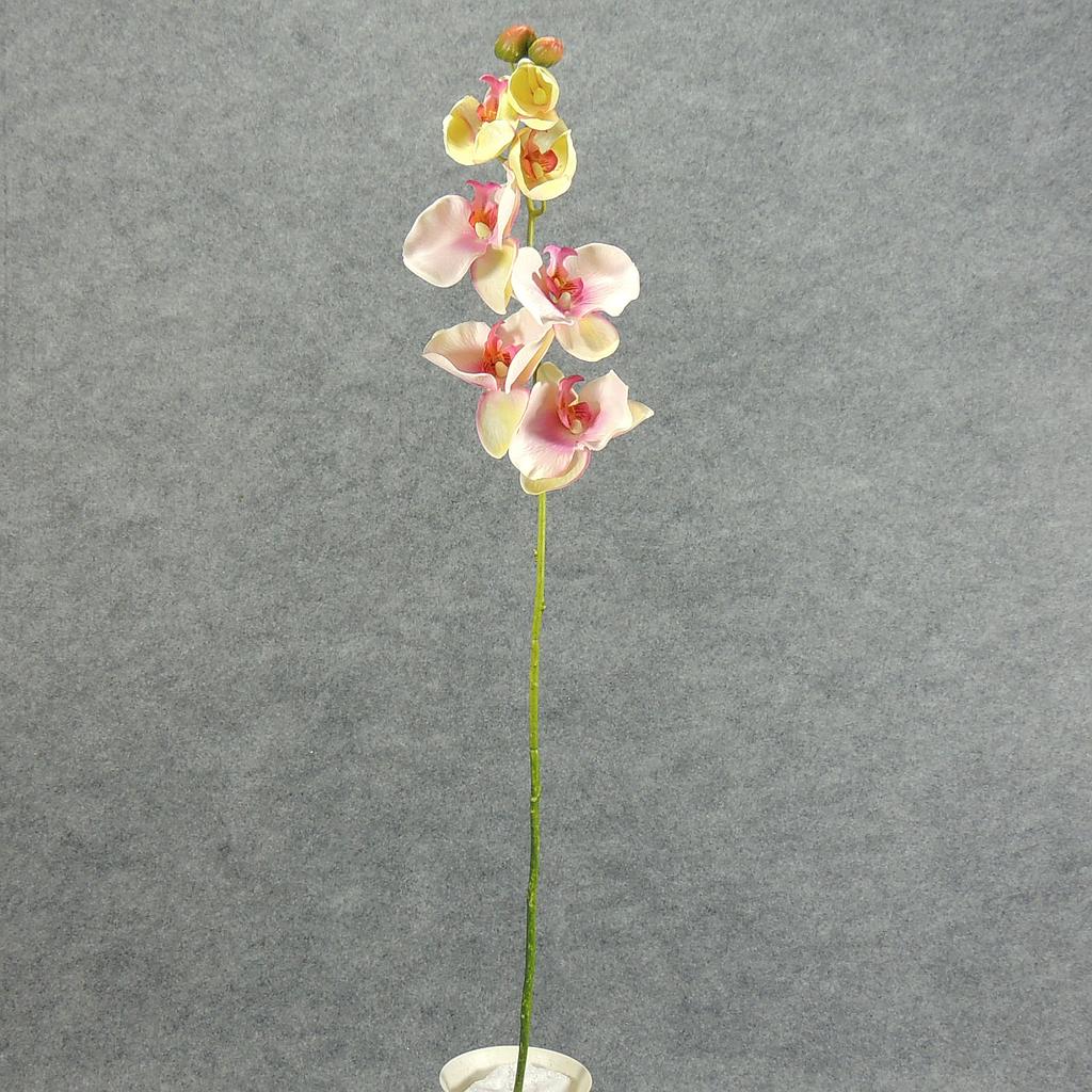 [SB3100-PNK] 32" PHALAENOPSIS X9 SPRAY PINK
