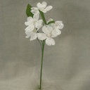 13.5" DOGWOOD PICK W/PEARLS & MICA (6/BG) OAL