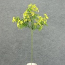 31" WAXFLOWER SPRAY X3 GREEN