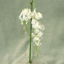 WISTERIA PICKx2 W/JEWELS & MICA