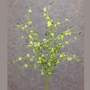22" ASTILBE CEDAR BUSH X7 CREAM