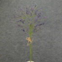 CASPIA FLOWER SPRAY BUNDLE X3  PURPLE