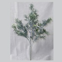 DUSTY MILLER FLOCKED SPRAY X4