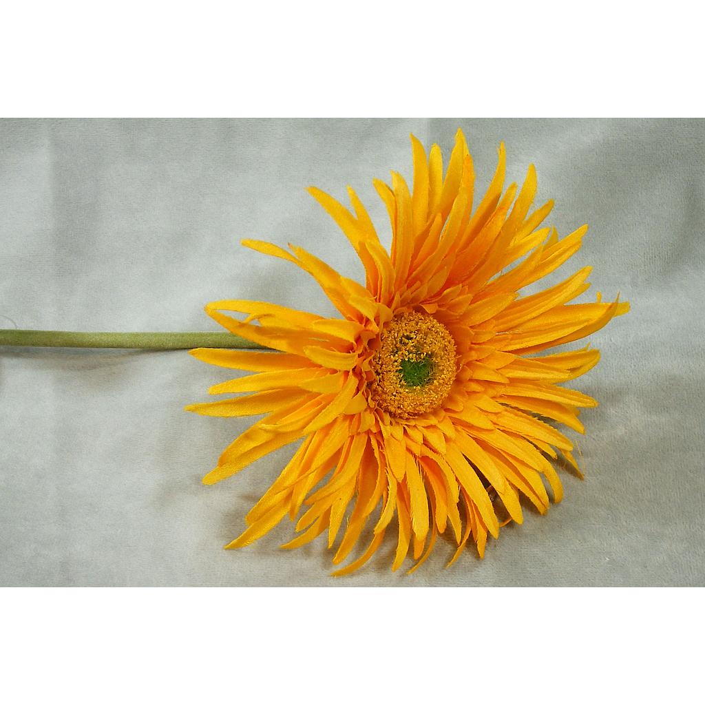 [SB381-GYL] 25" GERBERA SPIDER DAISY STEM GOLDEN YELLOW