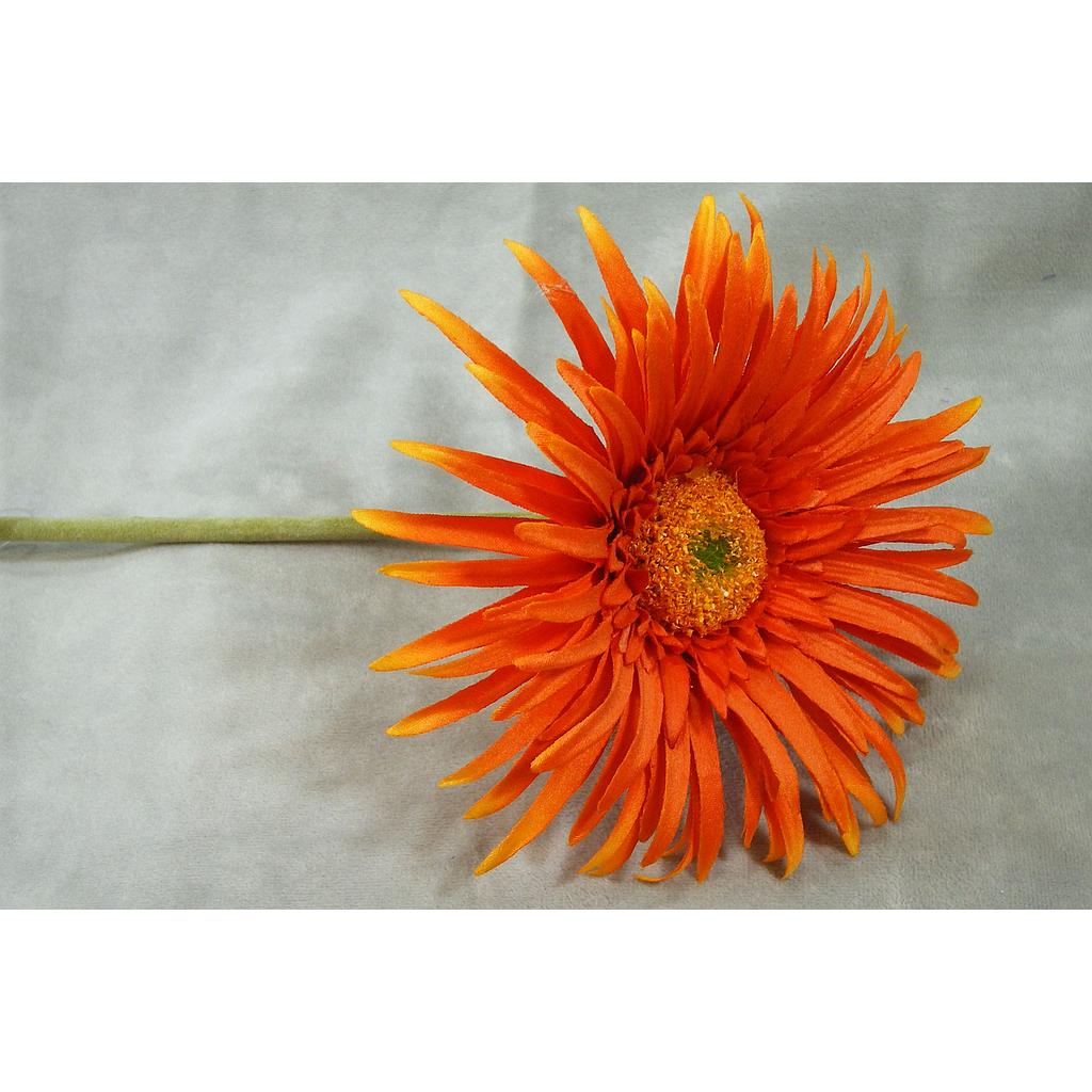 [SB381-ORG] 25" GERBERA SPIDER DAISY STEM ORANGE