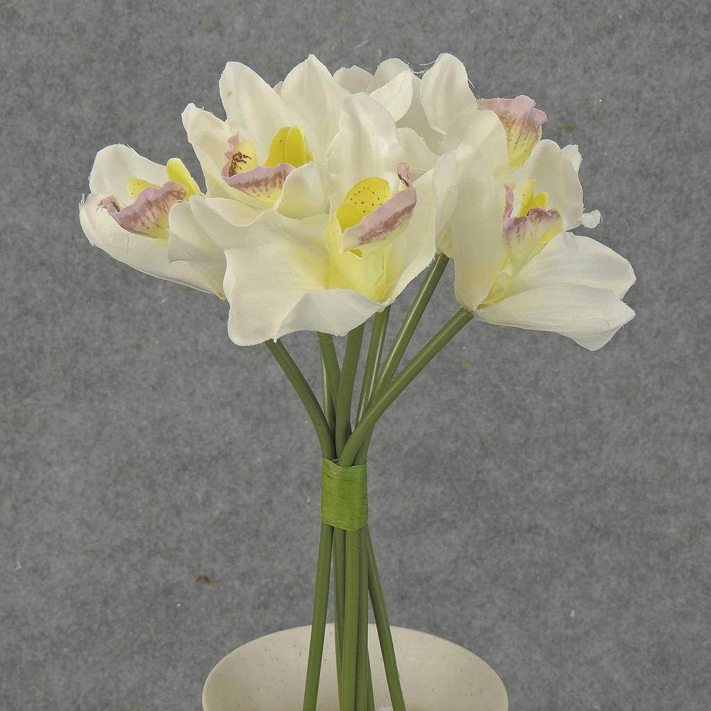 CYMBIDIUM ORCHID BOUQUET X7  CREAM
