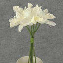 CYMBIDIUM ORCHID BOUQUET X7  WHITE