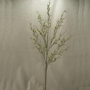 38" BERRY PTERIS SPRAY X5 (4/BDLE) CREAM/GREEN