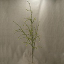BERRY PTERIS SPRAY 37" PLASTIC  CREAM/GREEN