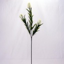 26" STAR FLOWER GRASS SPRAY (6/BDL) CREAM