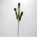 26" STAR FLOWER GRASS SPRAY (6/BDL) PLUM