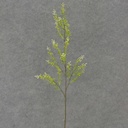 SEEDED FLOWER SPRAY 30" (6/BDL)  GREEN