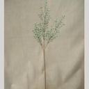 BOXWOOD   DUSTY GREEN (6/BDL)