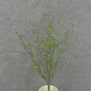 23.5" CROSS PLUM LEAF BUSH PURPLE