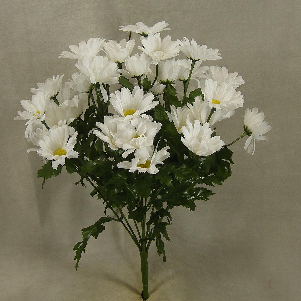 DAISY BUSH X9 15"  WHITE