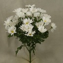 DAISY BUSH X9 15"  WHITE