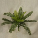 CYCAS PLASTIC BUSH