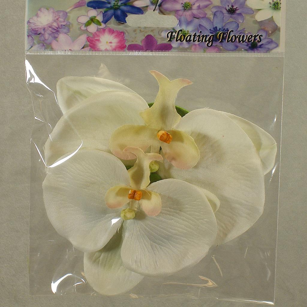 [SB4071-CRM] FLOATING PHALAENOPSIS BLOOMS (2/BAG)   CREAM