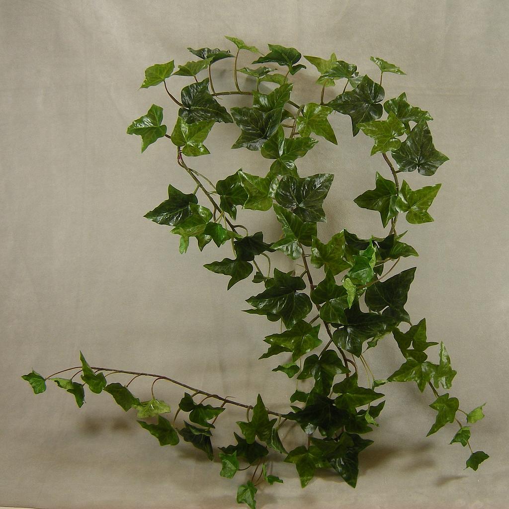 48" IVY VINE X3 W/88 LVS