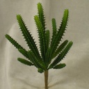 9" CACTUS FINGER PLASTIC