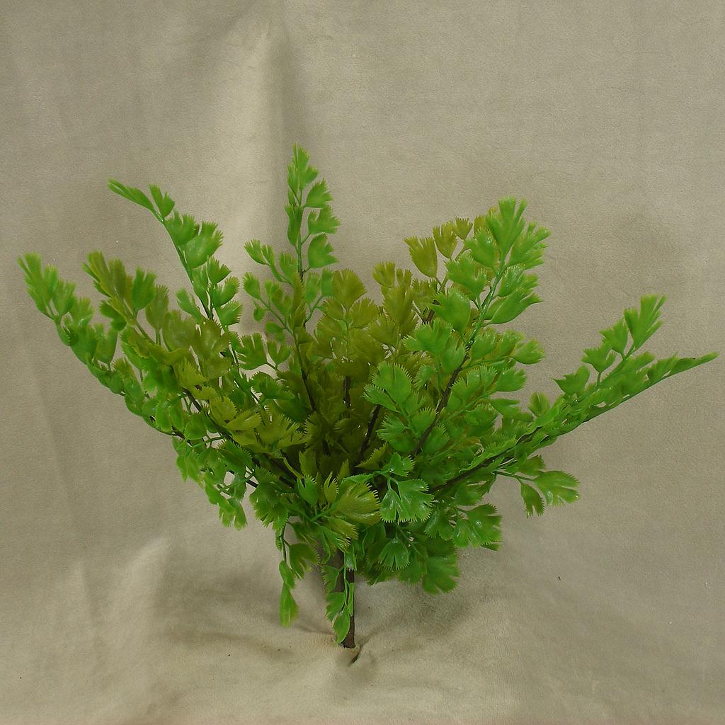 [SB4116] 11" MAIDEN HAIR BUSH X15 LVS