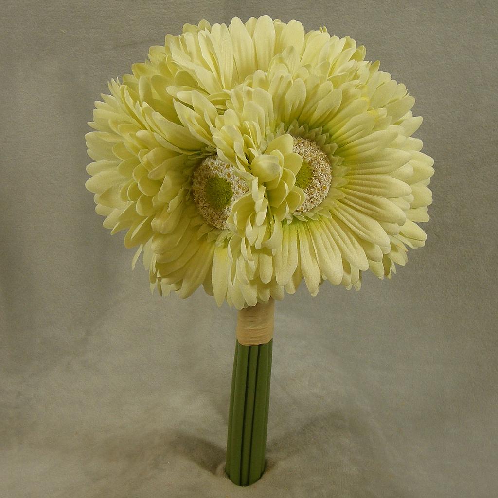 GERBERA DAISY BOUQUET X9 10.5"  LIGHT GREEN