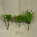 CACTUS (3 ASST'D STYLES/SET)