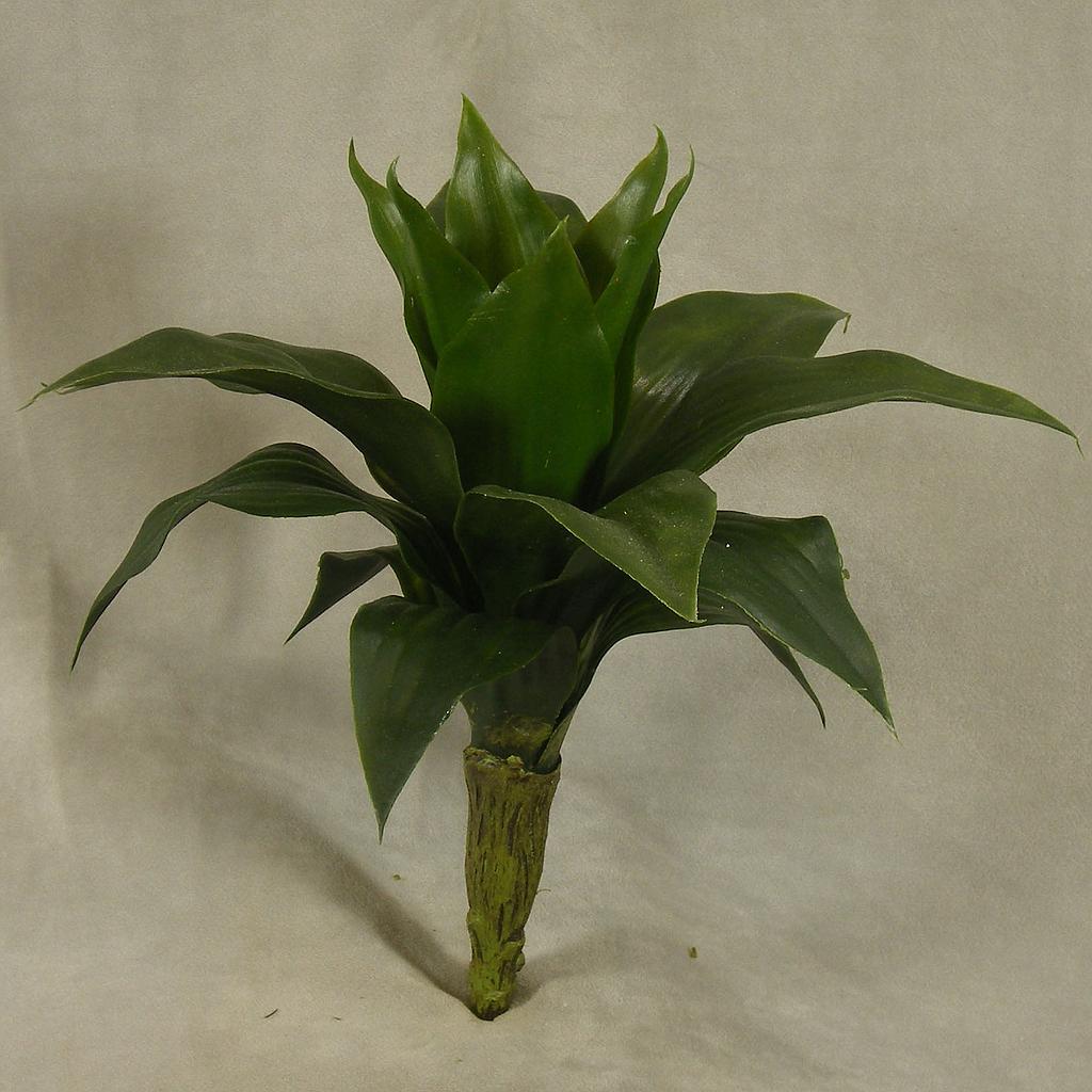 [SB4130] 12" ALOE PLANT/BUSH