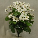 16" DOGWOOD BUSH X15
