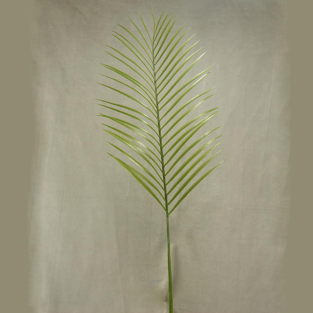 PALM PHOENIX SPRAY X1 41" PLASTIC