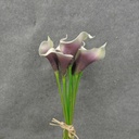 CALLA LILY BOUQUET X9  14" PICASSO