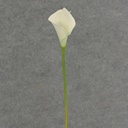 CALLA LILY SMALL  14&quot; STEM  CREAM