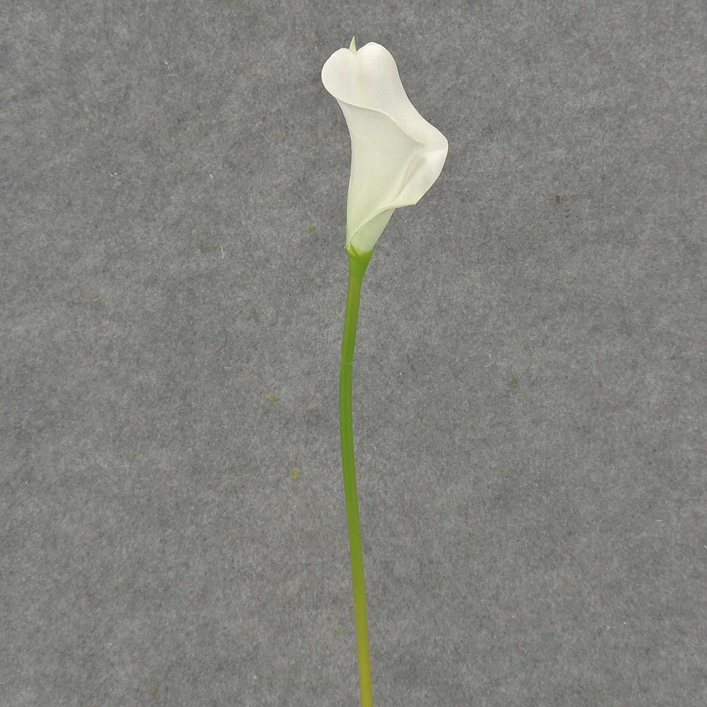 [SB4166S-WHT] 14" CALLA LILY SMALL STEM WHITE
