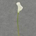 14" CALLA LILY SMALL STEM WHITE