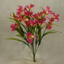 20" ALSTROMERIA BUSH X11 FUCHSIA