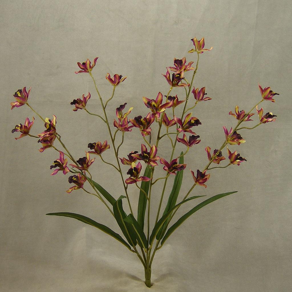 [SB4203-PUR] 23" ORCHID MINI CYMBIDIUM BUSH X5 PURPLE