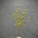 35" FORSYTHIA BUSH X3 YELLOW (OUTDOOR)