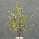 22" PLUM CROSS BUSH GREEN