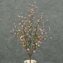 22" PTERIS CROSS PLUM BUSH LIGHT PINK