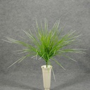 GRASS MONKEY BUSH X12  GREEN/WHITE