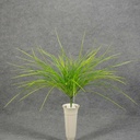 GRASS MONKEY BUSH X12  YELLOW/GREEN