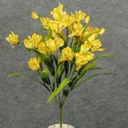 ALSTROMERIA BUSH X11 YELLOW