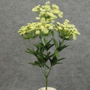 DILL/QUEEN ANNE LACE BUSH X7  CREAM/GREEN