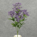 DILL/QUEEN ANNE LACE BUSH X7  PURPLE
