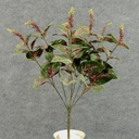 COLEUS BUSH X7 W/56 LVS  18"