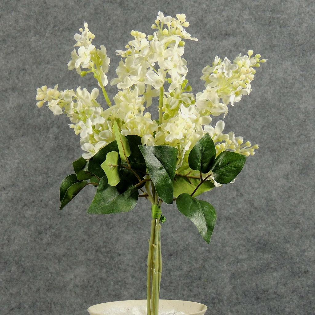 [SB5060-CWH] LILAC MINI BOUQUET X4  CREAM/WHITE