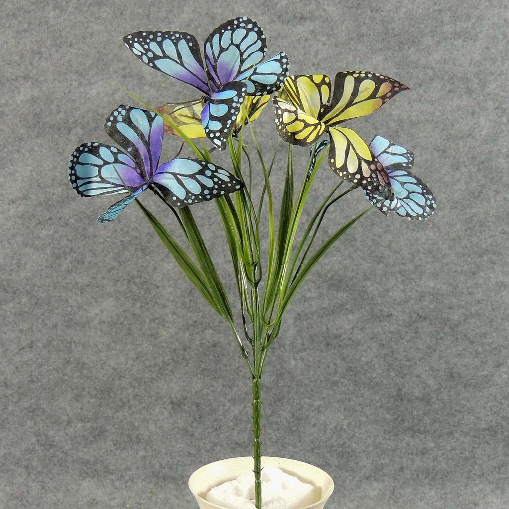 13" BUTTERFLY BUSH X5 BLUE/YELLOW