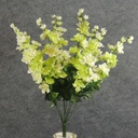 DELPHINUM BUSH X9 25"  CREAM/GREEN