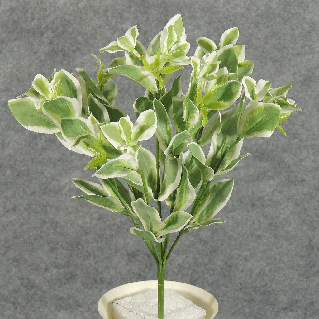 [SB5104] 11" EUPHORBIA BUSH X7